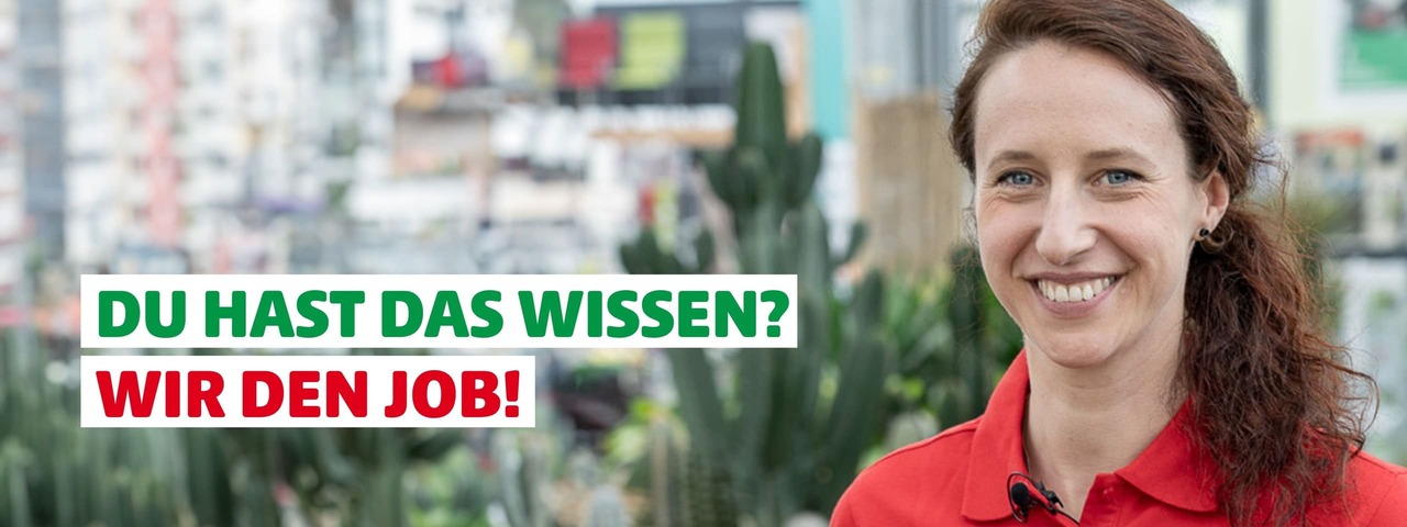 Du hast das Wissen? Wir den Job!